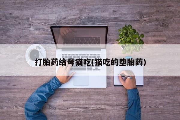 打胎药全国包邮微信打胎药给母猫吃(猫吃的堕胎药)